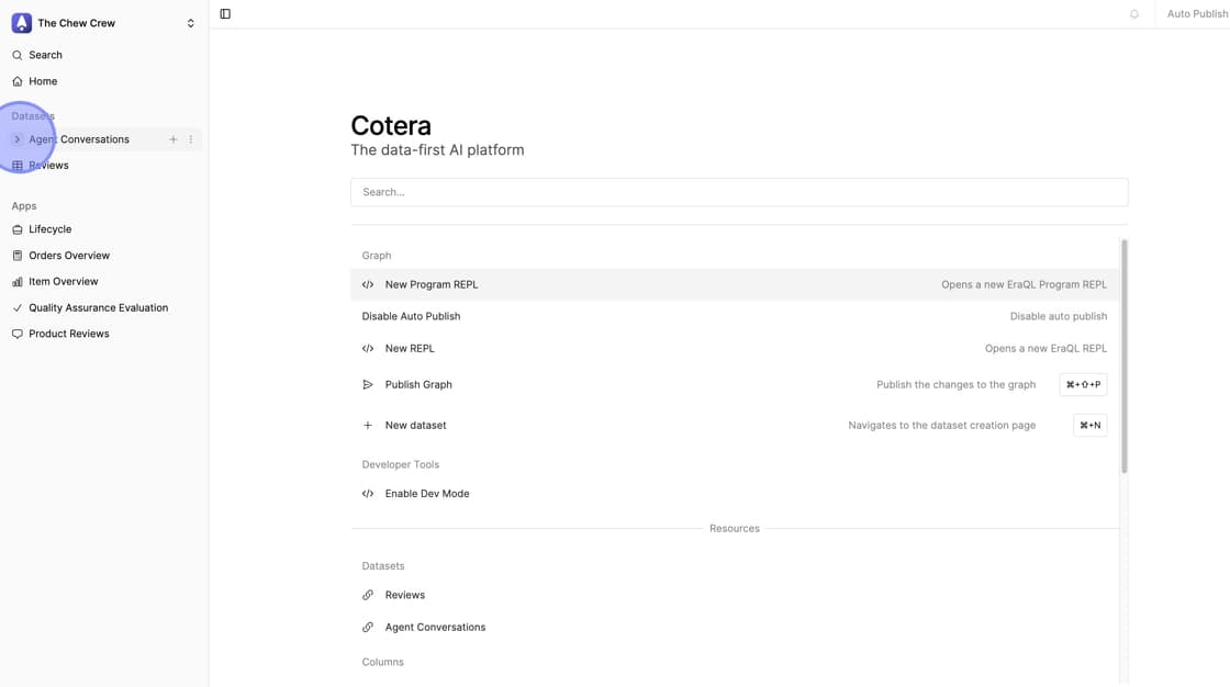 Left sidebar showing dataset with arrow/expand icon next to dataset name