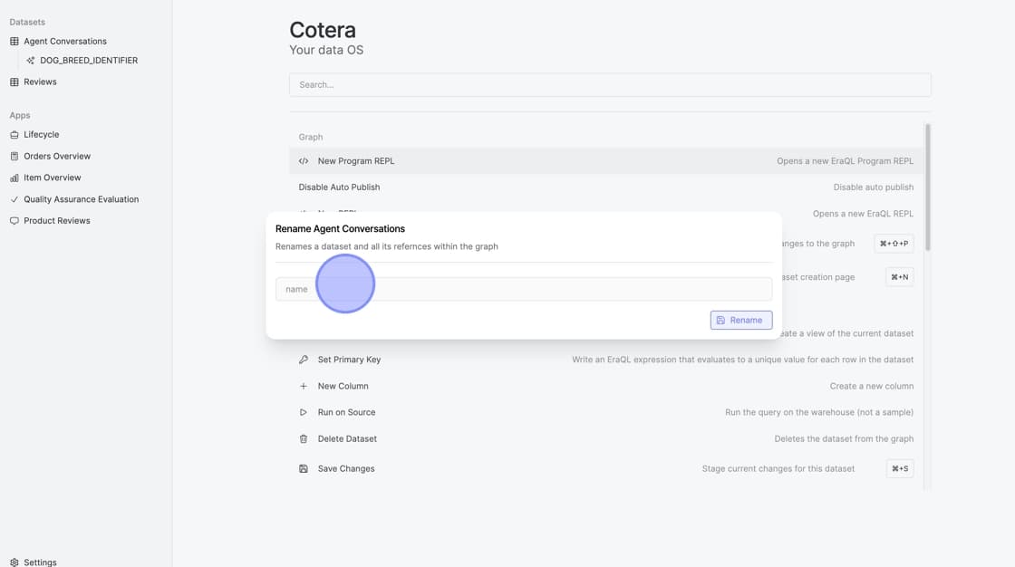 Rename dialog box with new name entered and Rename button visible