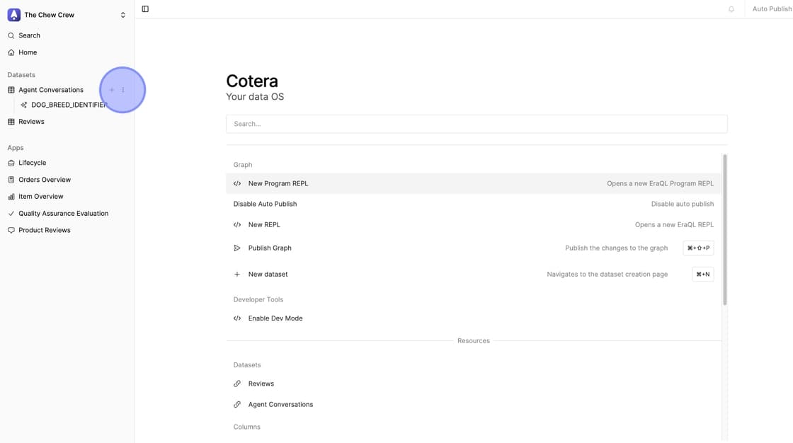 Left sidebar showing dataset with three dots menu highlighted