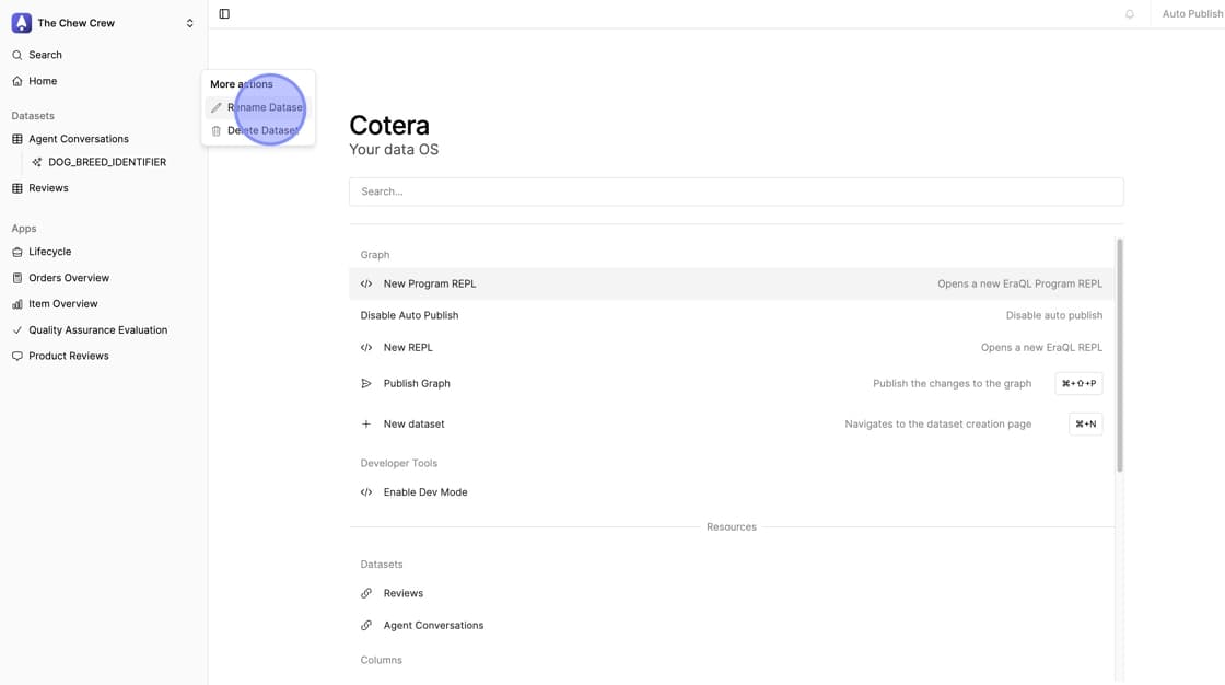 Three dots menu open showing Rename Dataset option